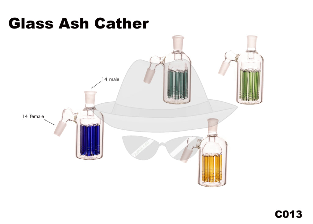 14 Female Ash Catcher C013