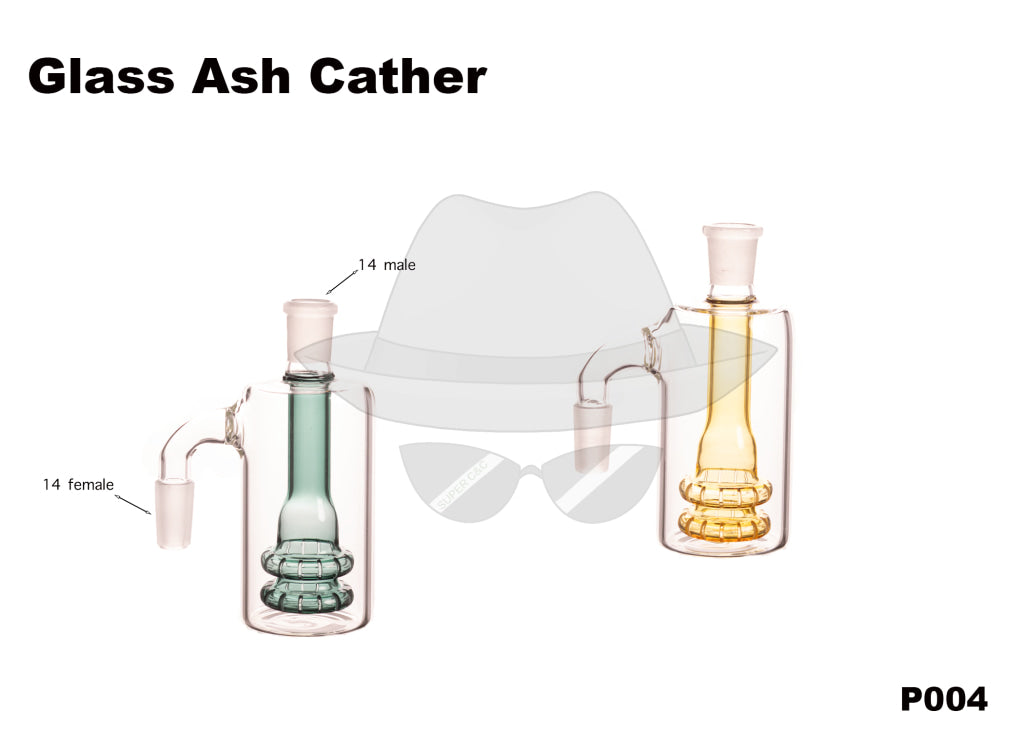 14 Female Ash Catcher P004