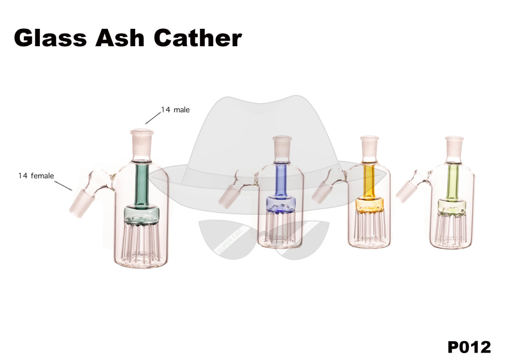14 Female Ash Catcher P012