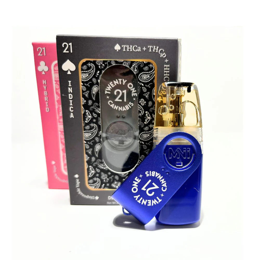Twenty One THC Flash Drive Vape - 2 Grams