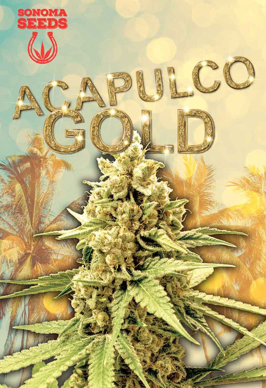 SONOMA FEMINIZED ACAPULCO GOLD SEEDS