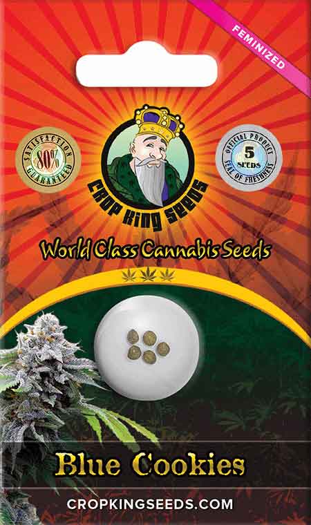 CROP KINGS BLUE COOKIES FEMINIZED SEEDS