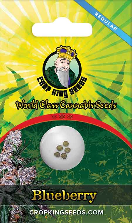 Load image into Gallery viewer, CROP KINGS BLUEBERRY SEEDS
