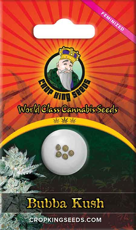 CROP KINGS BUBBA KUSH FEMENIZED SEEDS