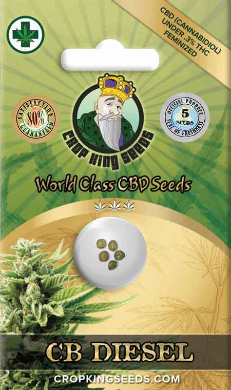 CROP KINGS CB Diesel CBD Feminized seeds