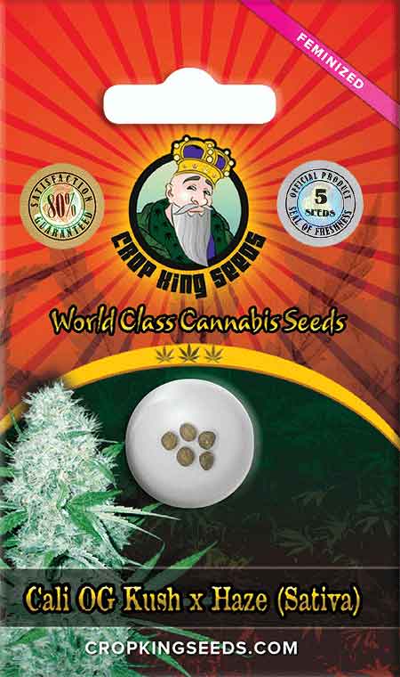 CROP KINGS Cali OG Kush Haze Feminized Seeds