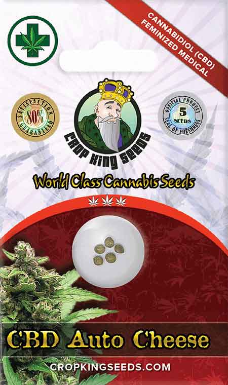 Load image into Gallery viewer, CROP KINGS CB Autoflower Cheese seeds
