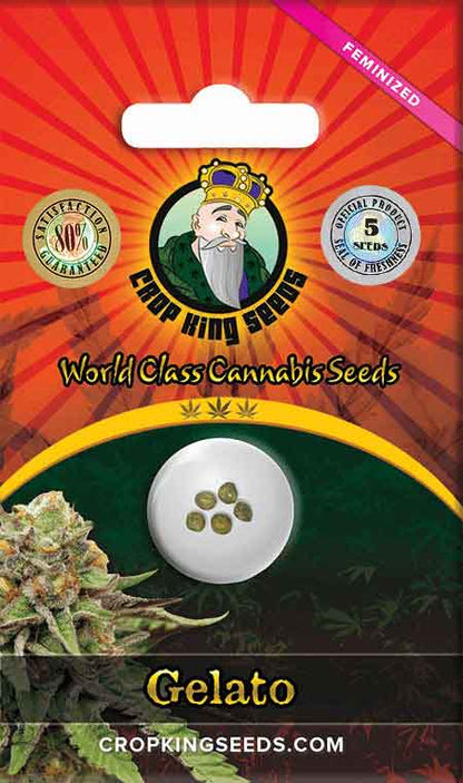 CROP KINGS Gelato Feminized Seeds