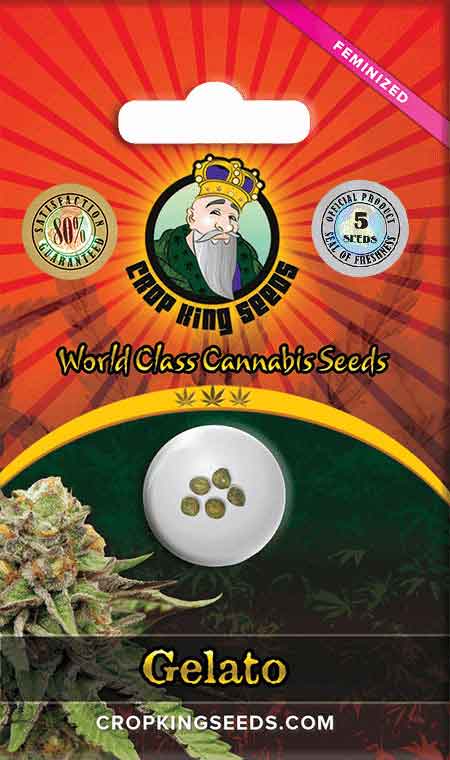 CROP KINGS Gelato Feminized Seeds