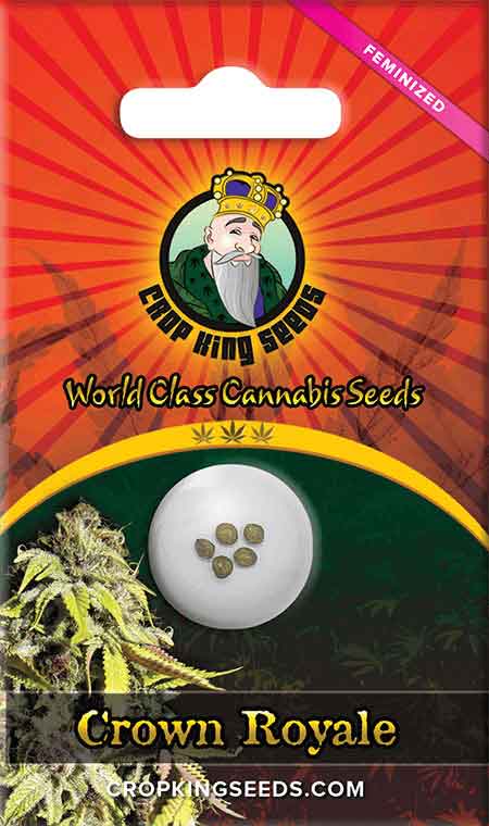 CROP KINGS Crown Royale Feminized Seeds