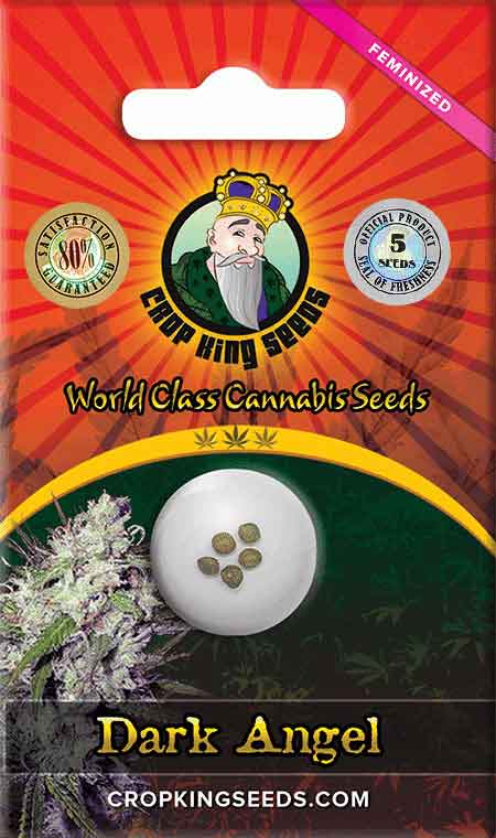 CROP KINGS DARK ANGEL FEMINIZED SEEDS