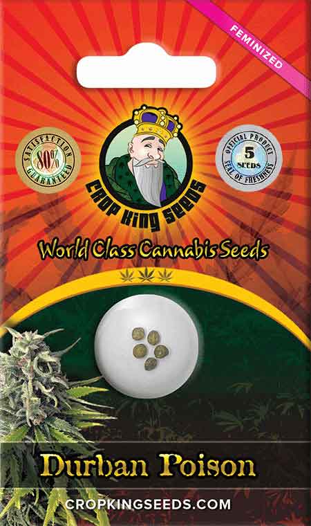 Load image into Gallery viewer, CROP KINGS Durban Poison Feminized seeds
