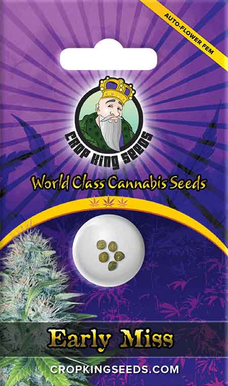 Load image into Gallery viewer, CROP KINGS Early Miss Autoflower seeds
