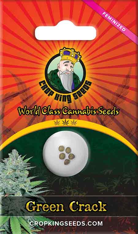 CROP KINGS Green Crack Feminized seeds