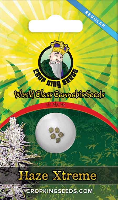 CROP KINGS HAZE XTREME SEEDS