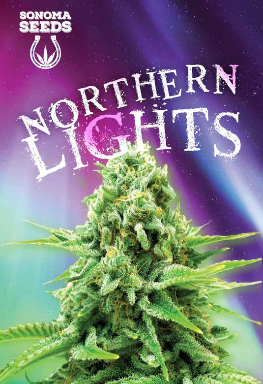 SONOMA FEMINIZED NORTHERN LIGHTS SEEDS