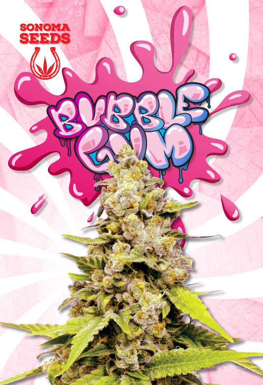 SONOMA FEMINIZED BUBBLEGUM SEEDS