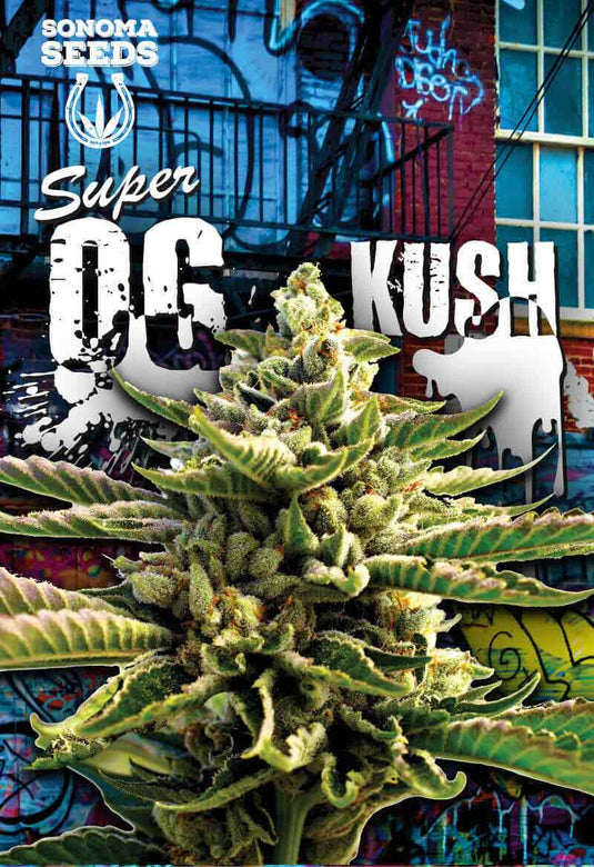 SONOMA FEMINIZED SUPER OG KUSH SEEDS