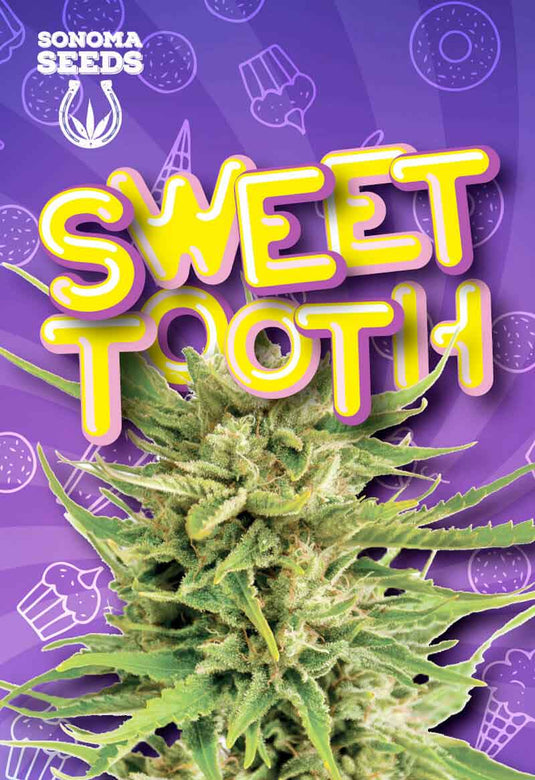 SONOMA FEMINIZED SWEET TOOTH SEEDS