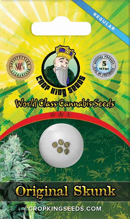 CROP KINGS SKUNK SEEDS