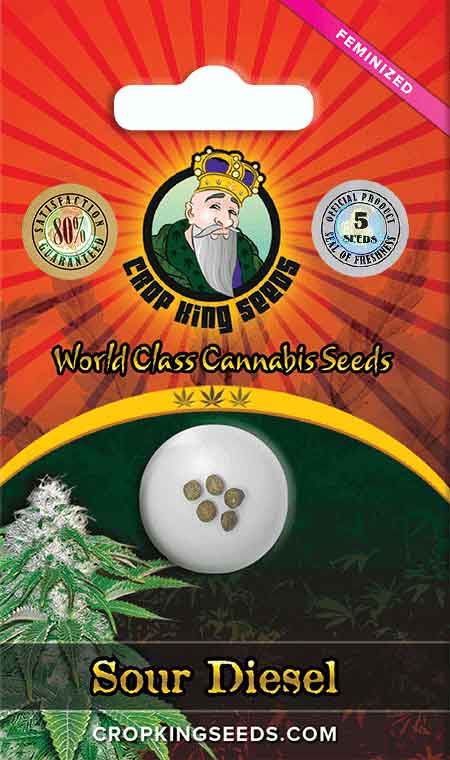 CROP KINGS SOUR DIESEL FEMINIZED SEEDS