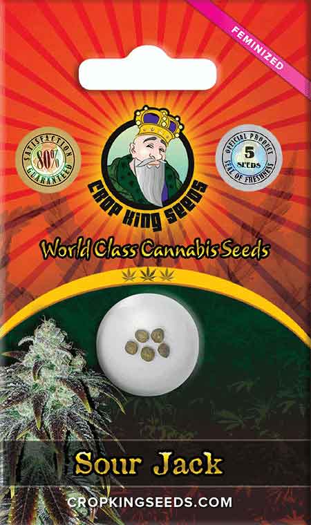 CROP KINGS Sour Jack Feminized seeds
