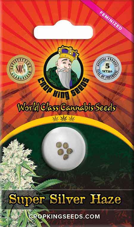 CROP KINGS Super Silver Haze Feminized seeds