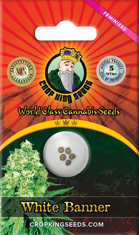Load image into Gallery viewer, CROP KINGS White Banner Feminized seeds
