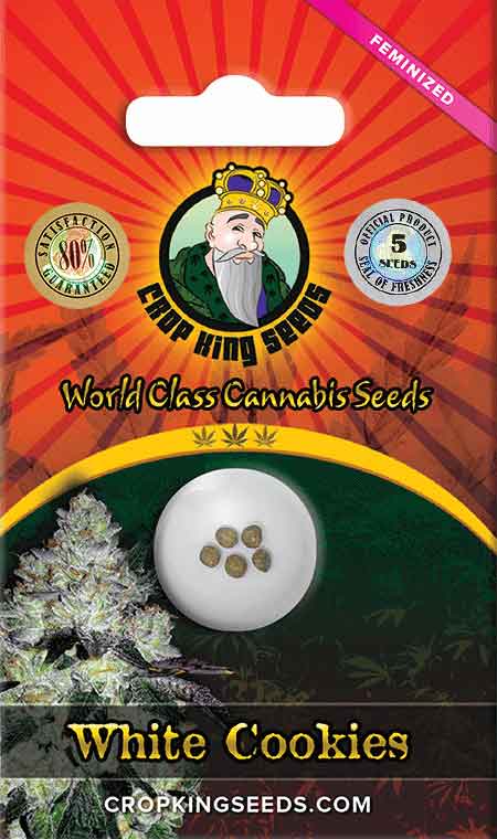CROP KINGS WHITE COOKIES FEMINIZED SEEDS