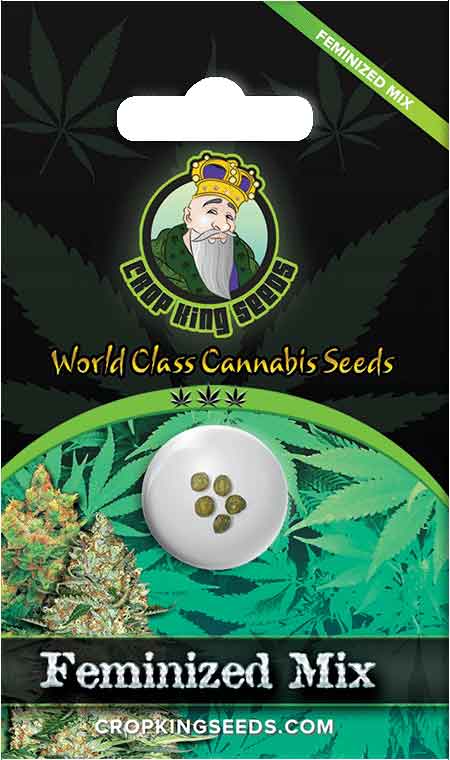 CROP KINGS FEMINIZED MIXED SEEDS