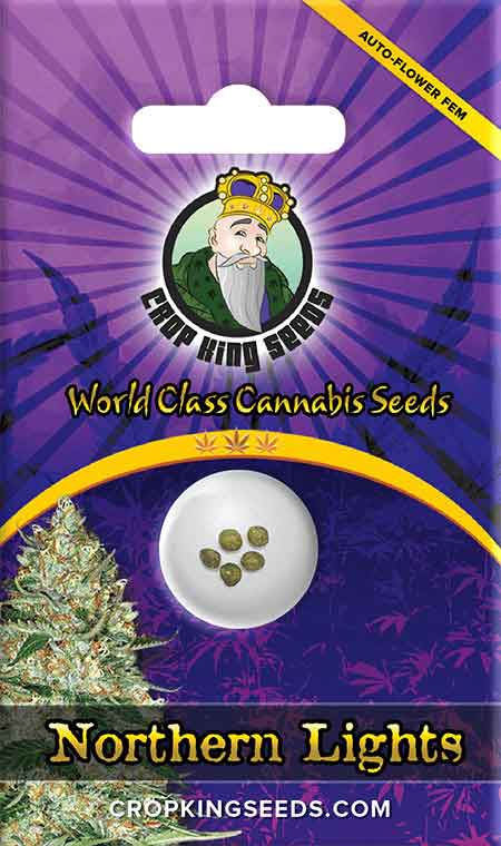 CROP KINGS Northern Lights Autoflower seeds
