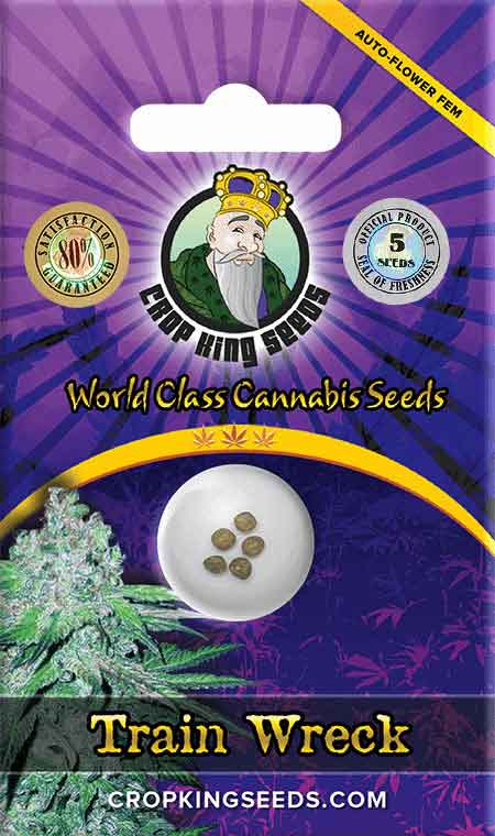 CROP KINGS Train Wreck Autoflower seeds