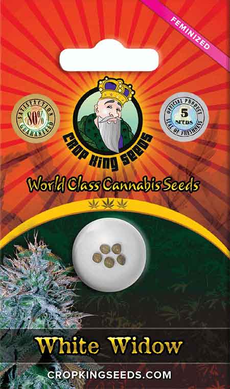 CROP KINGS White Widow Feminized seeds