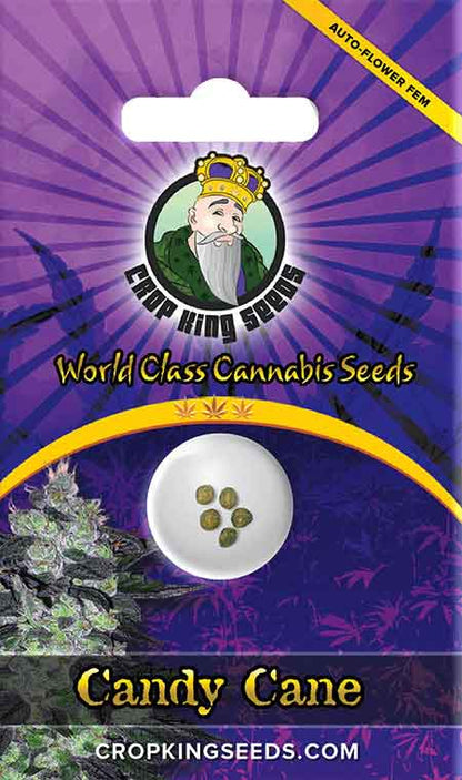 CROP KINGS Candy Cane Autoflower seeds