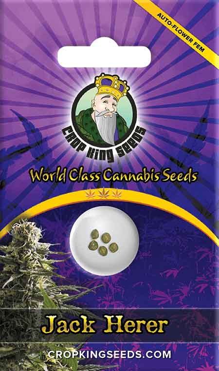 CROP KINGS Jack Herer Autoflower seeds