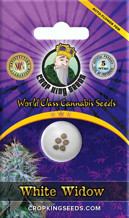 Load image into Gallery viewer, CROP KINGS White Widow Autoflower seeds
