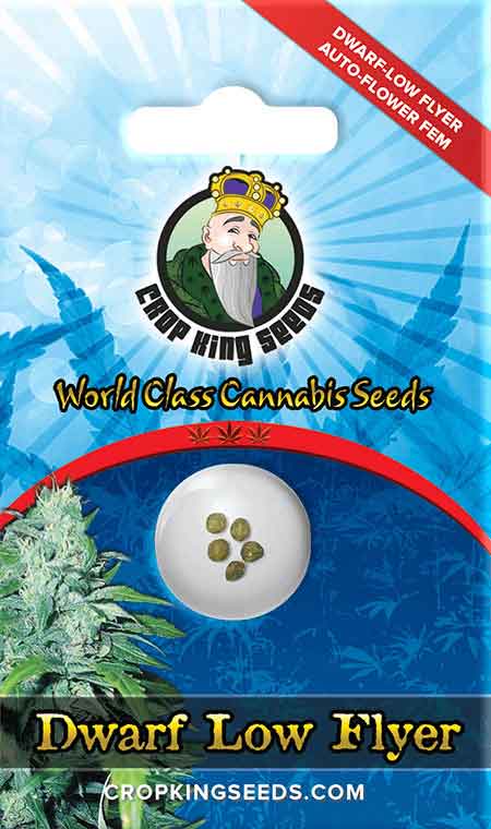 CROP KINGS Dwarf Low Flyer Autoflower Seeds