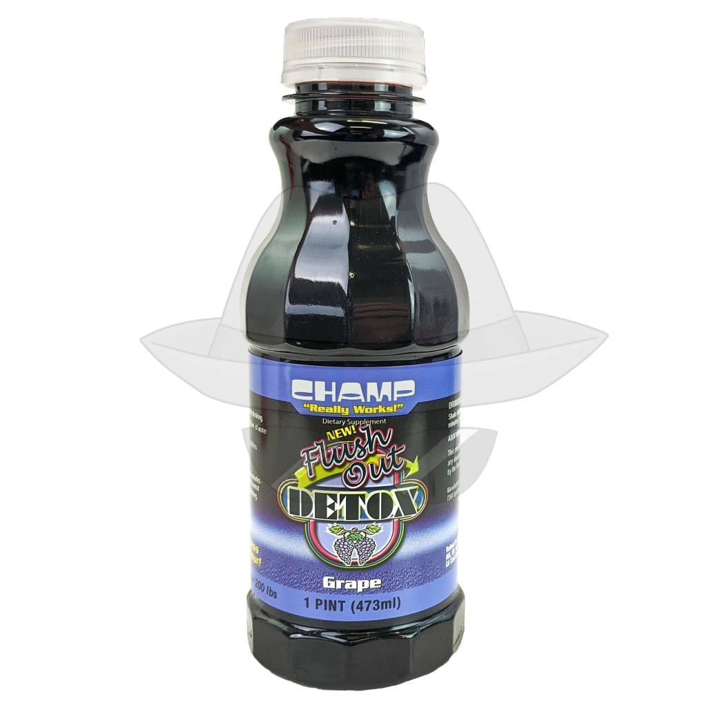Champ Detox