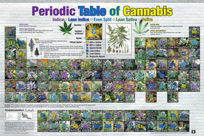 Posters 24"X36"( Order Online and pickup at warehouse)