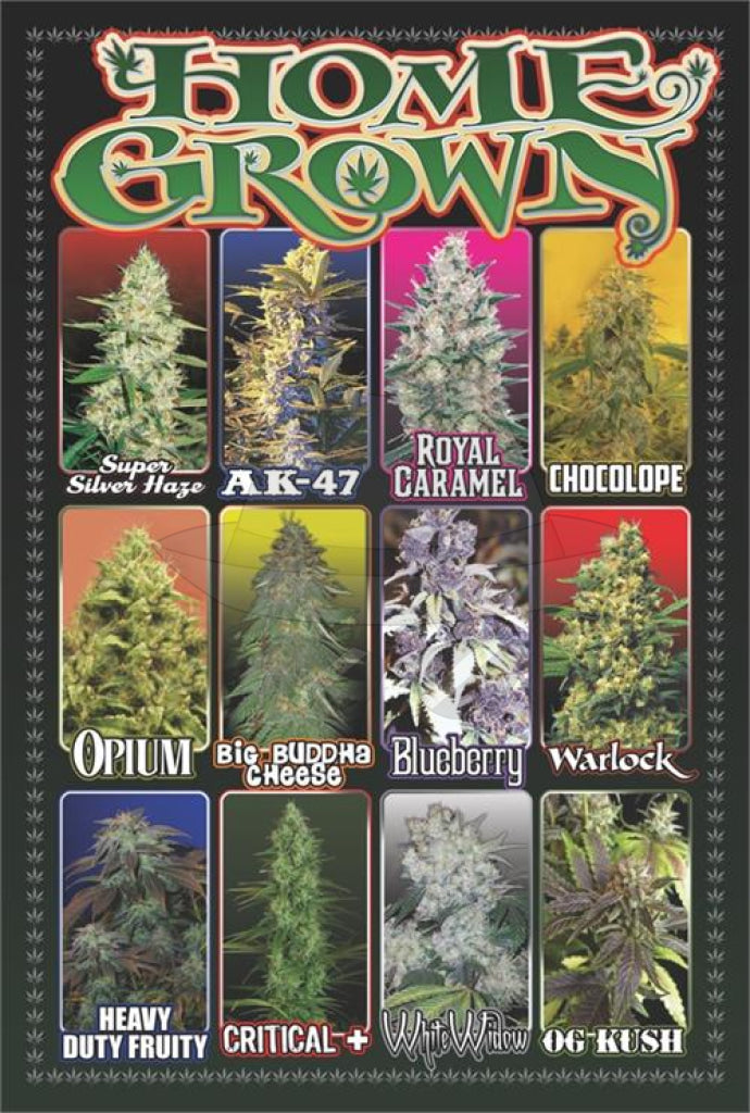 Posters 24"X36"( Order Online and pickup at warehouse)
