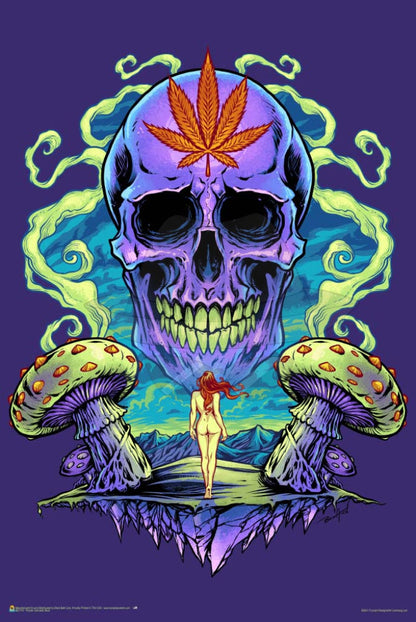 Posters 24"X36"( Order Online and pickup at warehouse)
