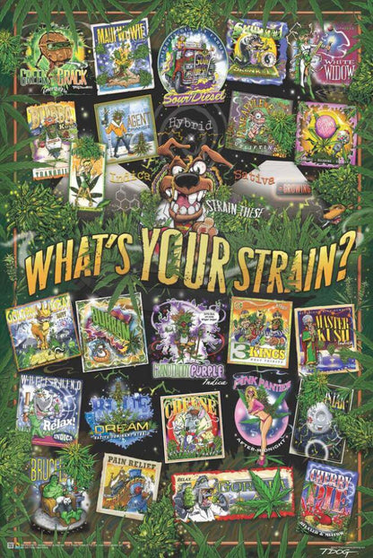 Posters 24"X36"( Order Online and pickup at warehouse)