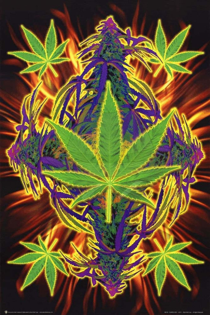 Posters 24"X36"( Order Online and pickup at warehouse)