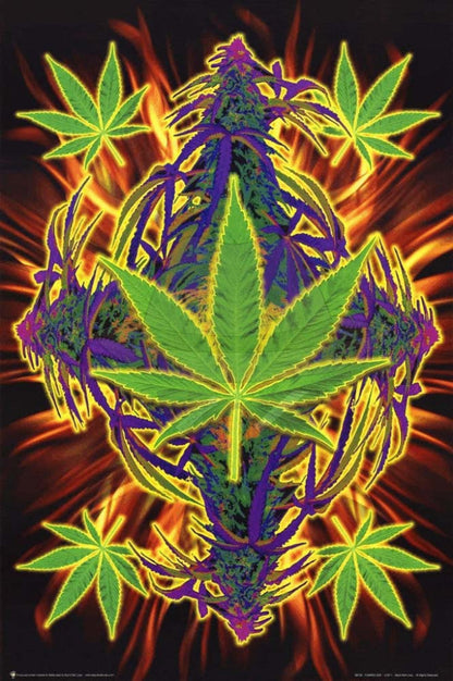 Posters 24"X36"( Order Online and pickup at warehouse)