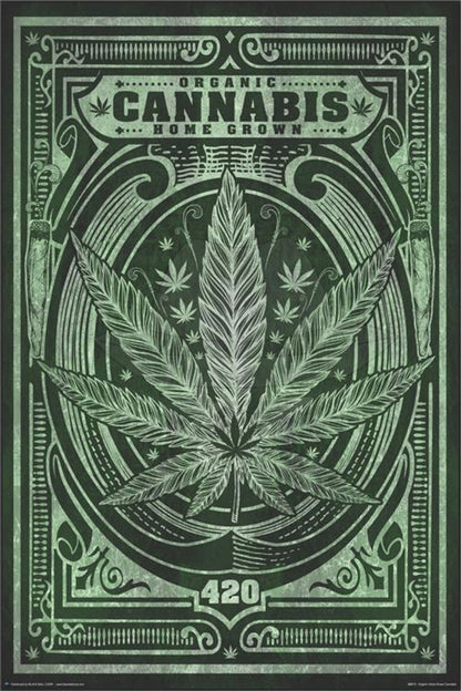 Posters 24"X36"( Order Online and pickup at warehouse)