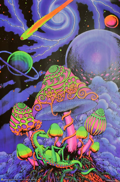 Posters 24"X36"( Order Online and pickup at warehouse)
