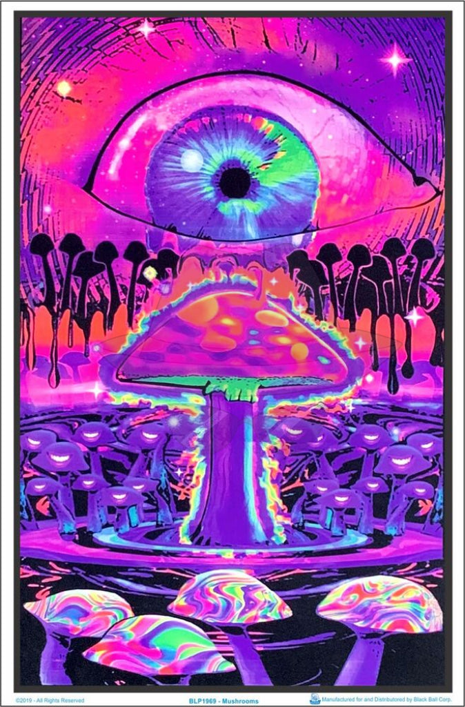 Posters 24"X36"( Order Online and pickup at warehouse)