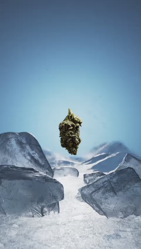 Load and play video in Gallery viewer, SLUSHY JUICE 4 GRAM DISPOSABLE THC VAPE 10CT
