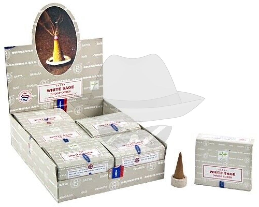 Satya Dhoop Cones