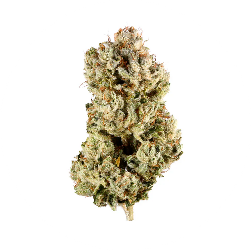 Load image into Gallery viewer, Sky Walker OG 27% THCA - Sativa
